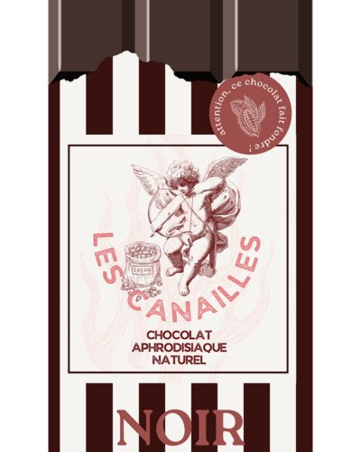 Chocolat noir - Tablette 100g - Les canailles