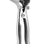 Speculum anal